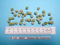Click for 4 image(s) for this accession. Image